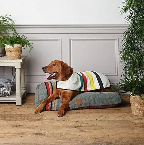 Pendleton Vintage Camp Napper | Heather Green
