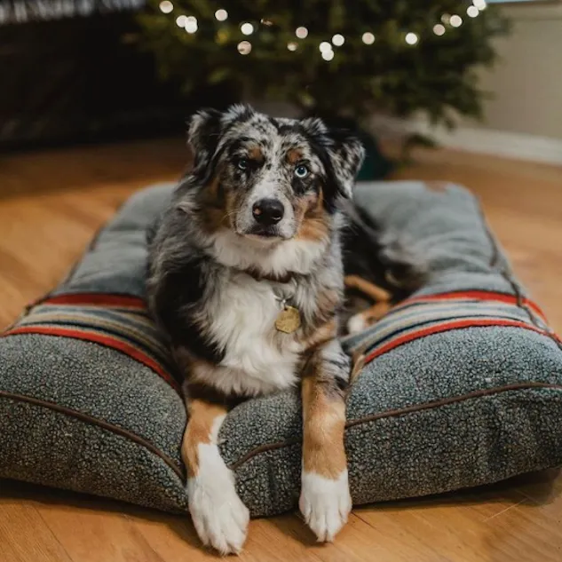Pendleton Vintage Camp Napper | Heather Green